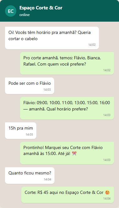 Conversa real no WhatsApp com o sistema da Novak Sistemas
